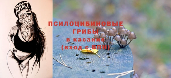 спиды Алексин