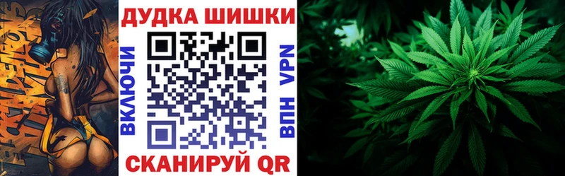 shop наркотические препараты  Карачев  KRAKEN ссылка  Шишки марихуана планчик  дарнет шоп 